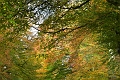 05 11 16_2748_edited-1
